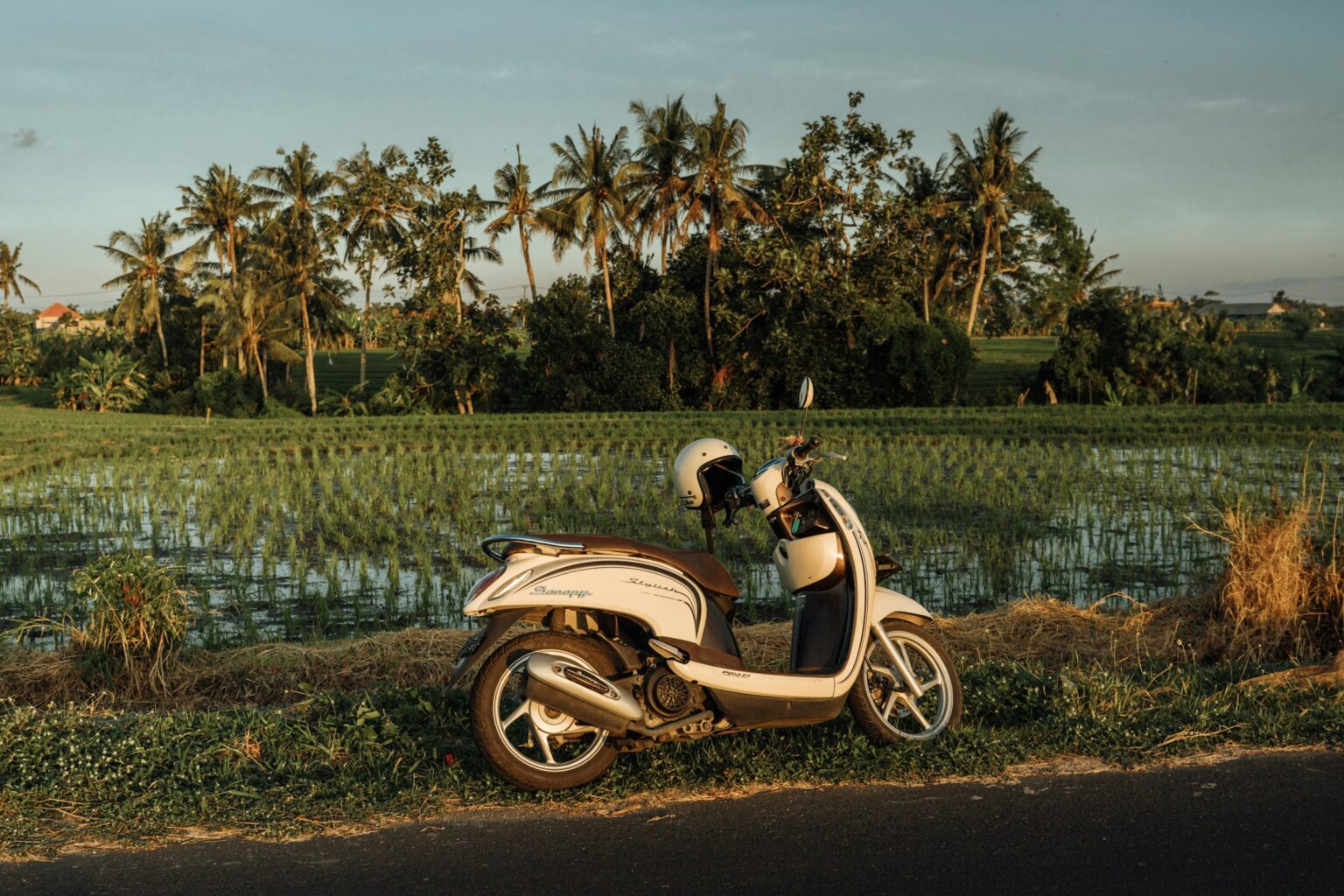 Home A cream scooter with a helmet parked by a rice field and palm trees at golden hour, Bali