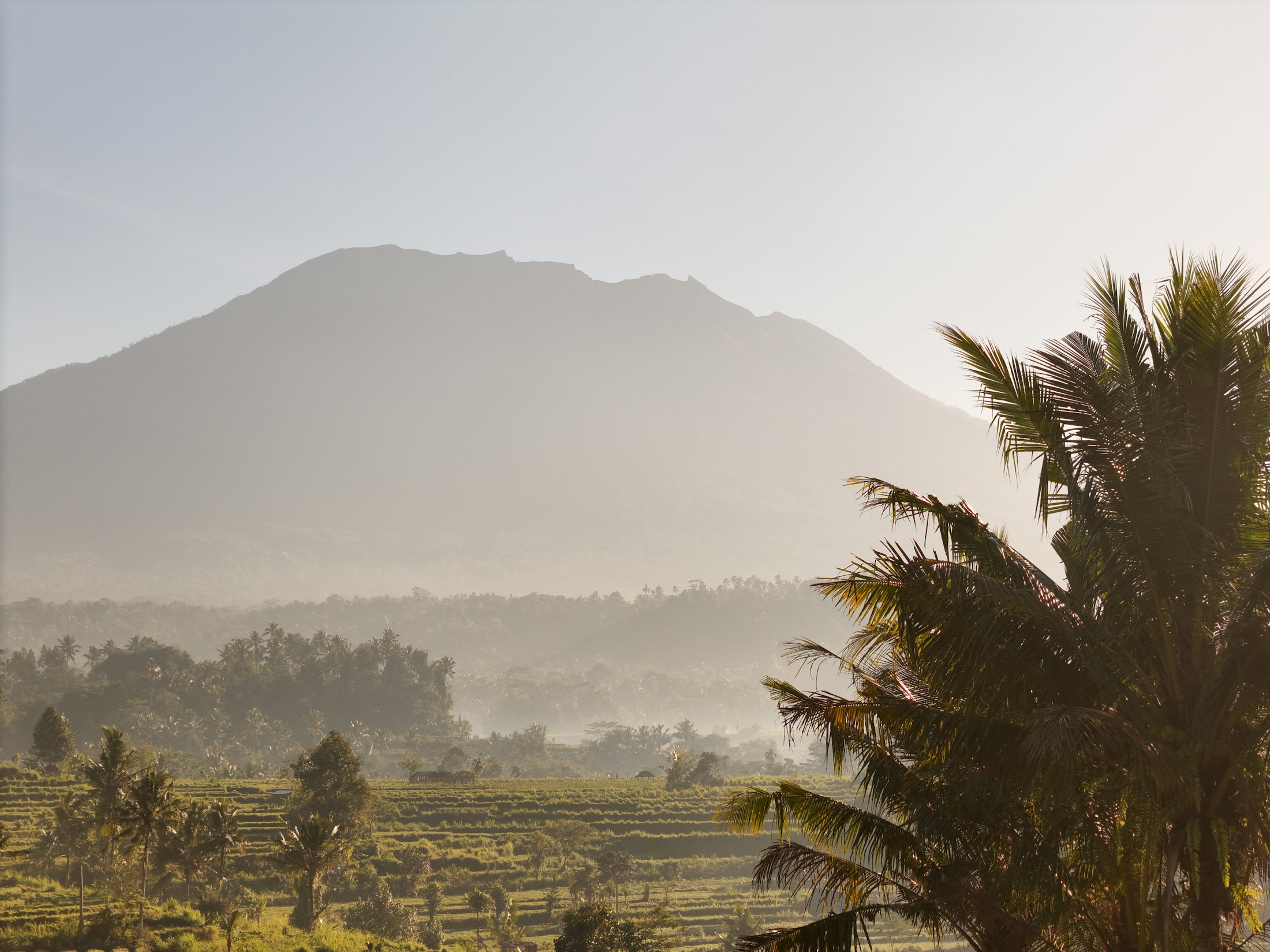 Home A misty mountain above terraced fields and palm trees in Sidemen, Bali